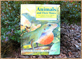 Click here for a larger picture of the front, inside & back of the "Animals and Their Mates" book